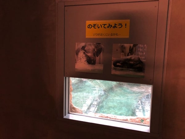 円山動物園ゾウ舎の様子