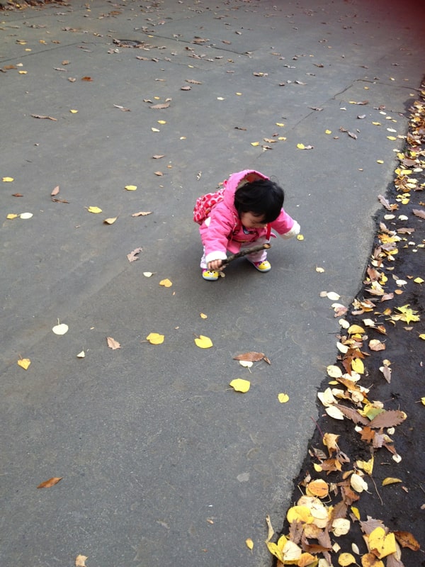 円山動物園で落ち葉を拾う子ども
